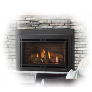 10 Perfect Gas Fireplace Inserts - For Your Cozy Home in 2022